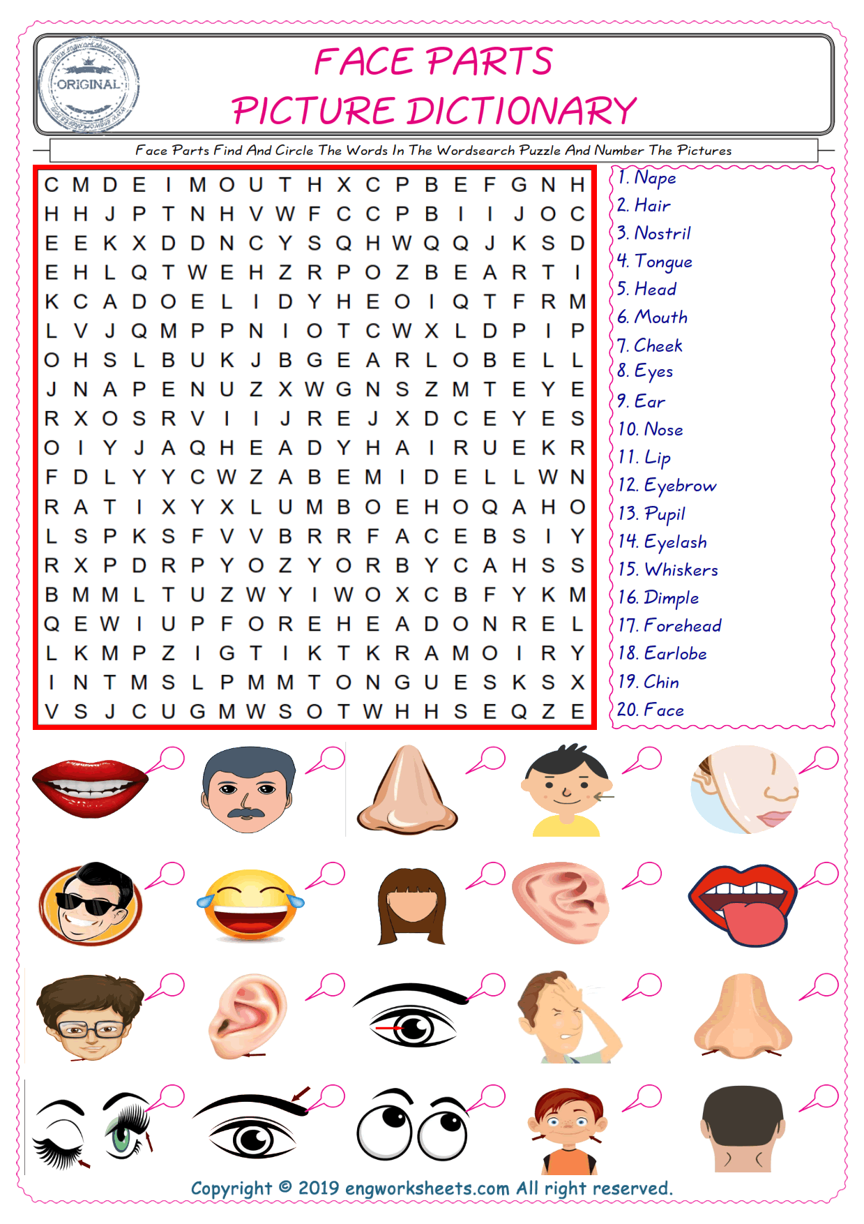  ESL wordsearch worksheets for kids, find Face Parts words in the word wordsearch write its number on its picture English worksheet. 